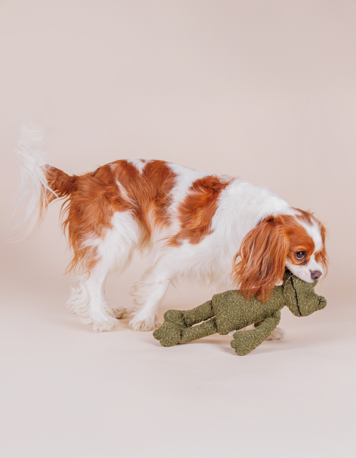 Plush dog toy frog GRETA